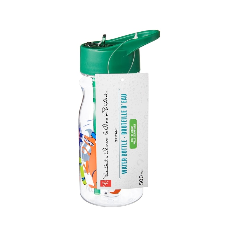 Printed Water Bottle - Dinosaur