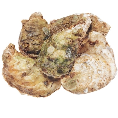 Maximum Seafood Pink Moon Oysters 100-Count 1 ea, $1.49/1ea