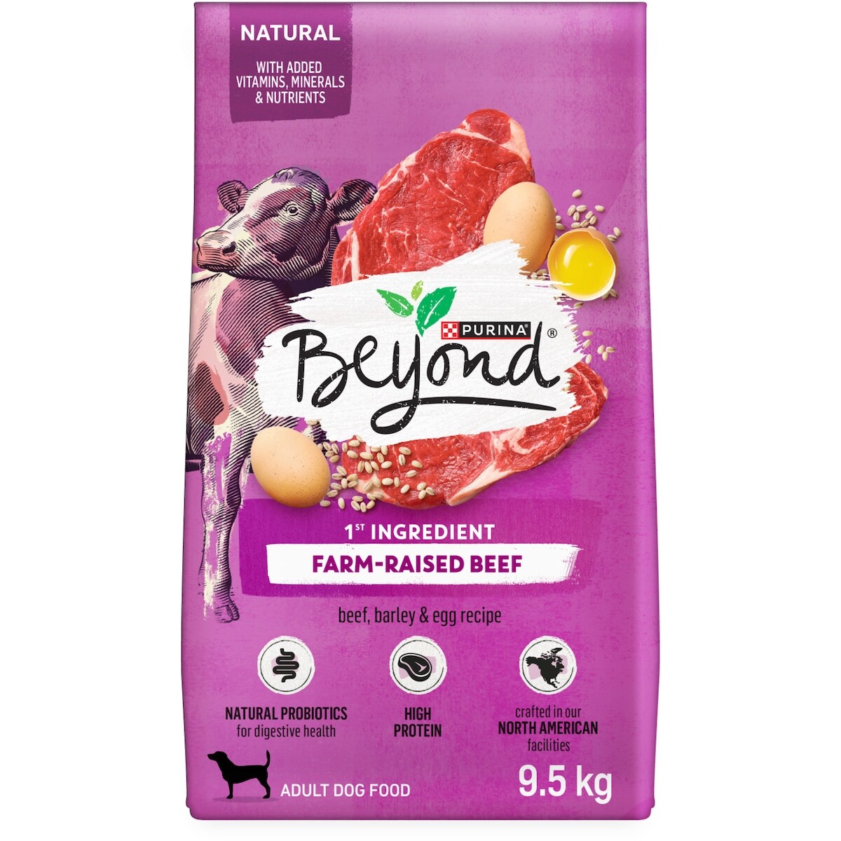 Purina Beyond Dry Dog Food