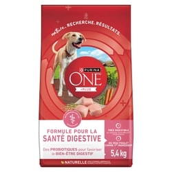 Purina ONE nourriture sèche pour chiens formule santé digestive +plus au poulet 5.4 kg, 0,87 $/100g
