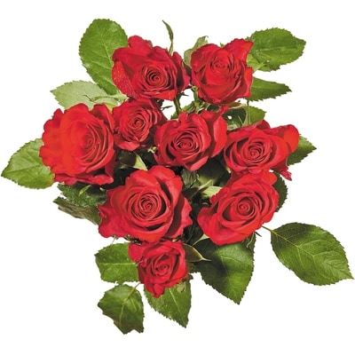 null Roses 9 tiges 1 ea, 10,00 $/1ch
