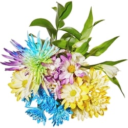 le Choix du Président Bouquet mixte petit 1 ea, 10,00 $/1ch