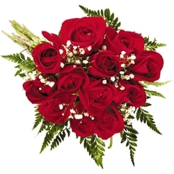 le Choix du Président Douzaine de roses rouge 1 ea, 25,00 $/1ch