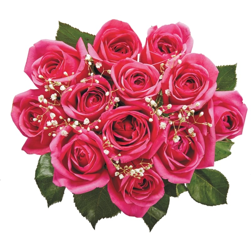 Dozen Roses in Assorted Colours