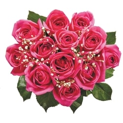 le Choix du Président Douzaine de roses en couleurs assorties 1 ea, 25,00 $/1ch
