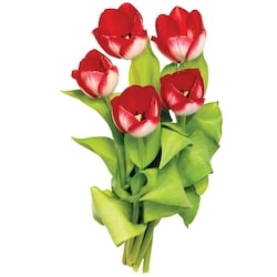 President's Choice Tinted Poms  1 ea, $10.00/1ea