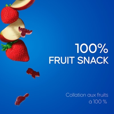 Fruit to go 100 % collation aux fruits bouchées pomme fraise