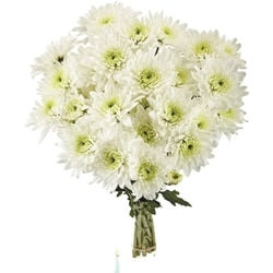 le Choix du Président Bouquet de chrysanthèmes 1 ea, 10,00 $/1ch