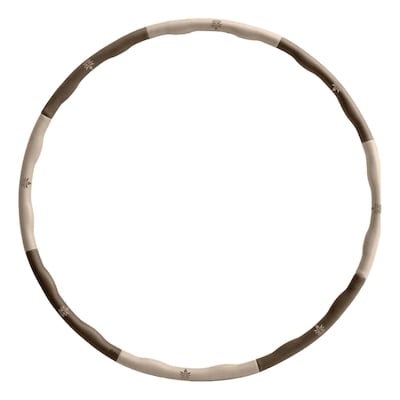 Evolve Weighted Hula Hoop 1 ea, $14.00/1ea