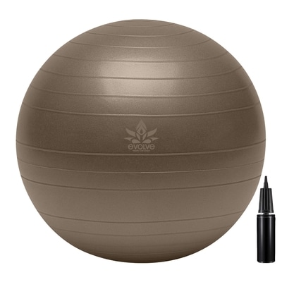 Evolve Stability Ball with Pump 1 ea, $20.00/1ea
