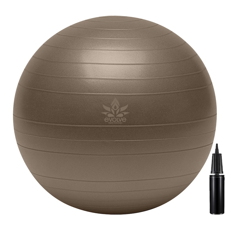 Stability Ball with Pump