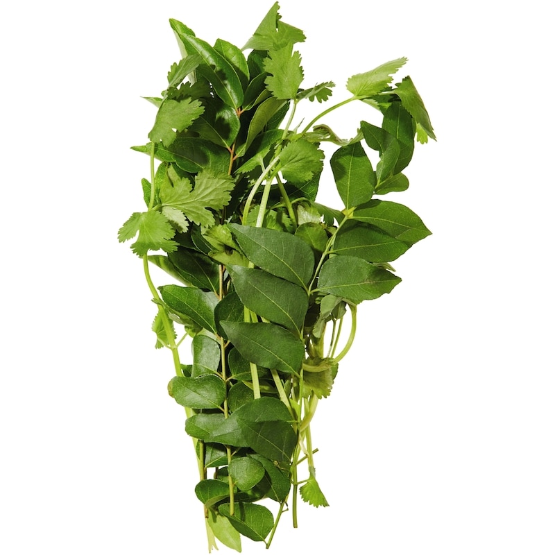 Fresh Indian Herb Blend