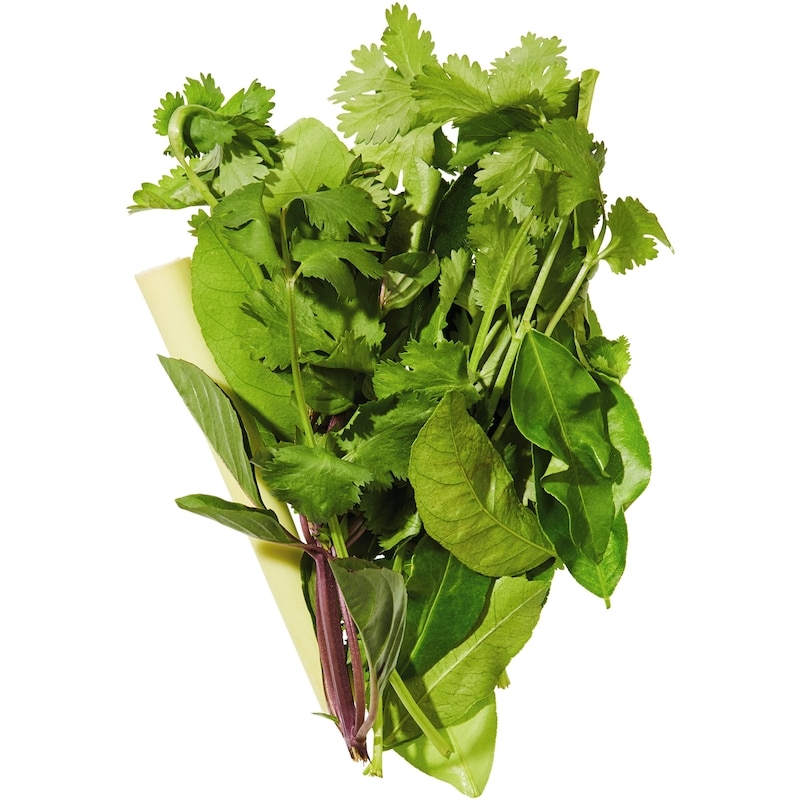 Fresh Thai Herb Blend