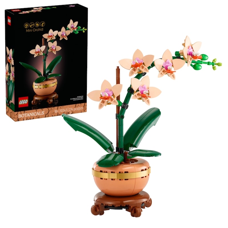 Pas de Fleurs リトグラフ 3/100 LEGO Botanical Collection Lucky Bamboo 10344 - Treasure Island Toys
