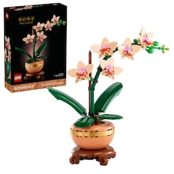 LEGO Botanicals L’Orchidée Miniature, Cadeau Botanique 10343 1 ea, 32,00 $/1ch