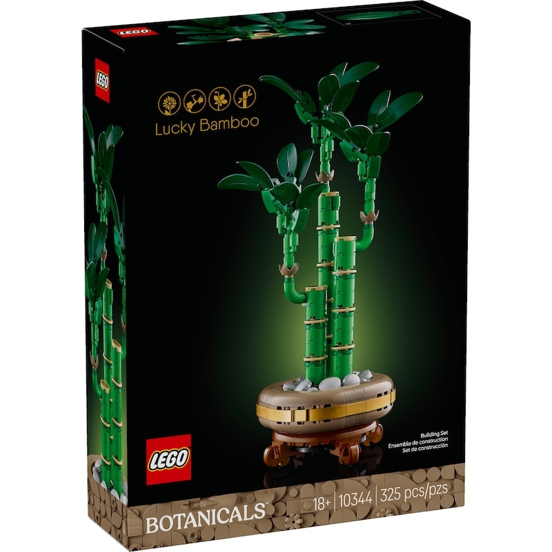 Botanicals Lucky Bamboo 10344
