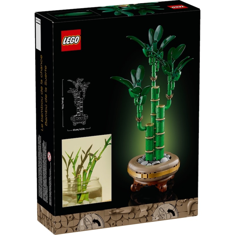 Botanicals Lucky Bamboo 10344