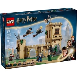 LEGO Harry Potter Hogwarts™ Castle: Flying Lessons 76447 ea