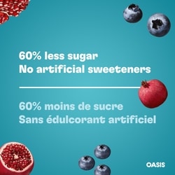 Oasis HydraFruit Blueberry Pomegranate Fruit Juice - 960 ml | No