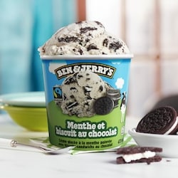 Ben & Jerry's Mint Chocolate Cookie Ice Cream - 473 ml | Loblaws
