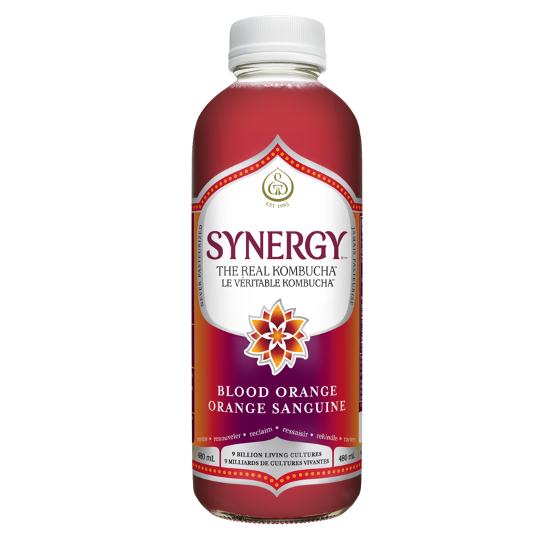 Synergy The Real Kombucha Blood Orange