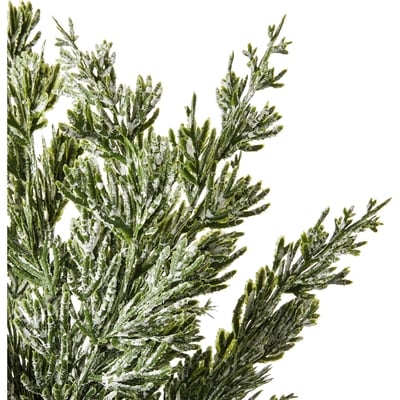 Pin enneigé en pot