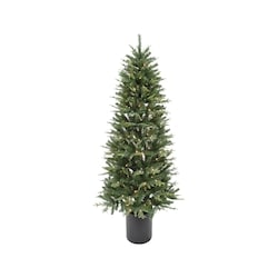 Life at Home 7-ft Grand Fir Potted Tree 1 ea, $249.00/1ea