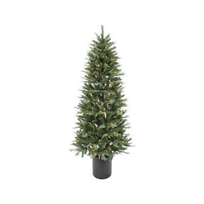 Life at Home 7-ft Grand Fir Potted Tree 1 ea, $249.00/1ea
