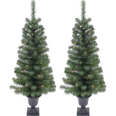Life at Home Pre-Lit Twin Lake Porch Trees 2 Pack 2 ea, $34.50/1ea
