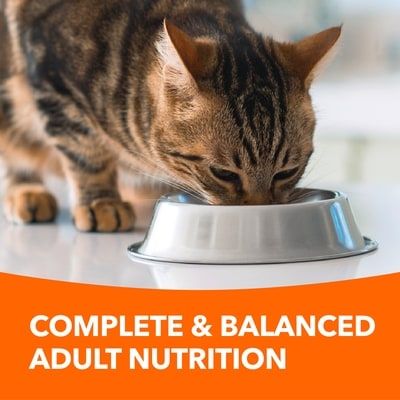 Iams Premium Cat Nutrition Healthy Weight Adult 1+ Years 1.59 kg, $1.04/100g