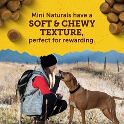 ZUKES Zuke's Mini Naturals Tender Bites Chicken Recipe, Dog Treats