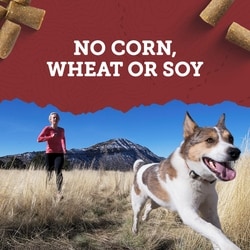 ZUKES Zuke's Lil' Links Chicken and Apple Recipe Training Treats