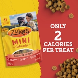 ZUKES Zuke's Mini Naturals Tender Bites Salmon Recipe, Dog Treats