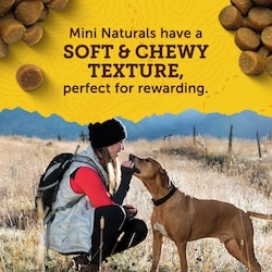 ZUKES Zuke's Mini Naturals Tender Bites Beef Recipe, Dog Treats