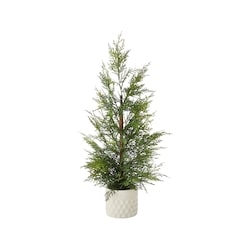 Life at Home Potted Cedar Tree 1 ea, $24.00/1ea