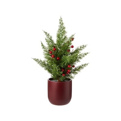 Life at Home Potted Berry Tree 16 in  1 ea, $19.00/1ea
