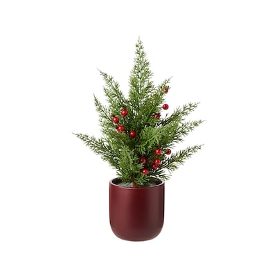 Life at Home Arbre à baies en pot 16 po  1 ea, 19,00 $/1ch
