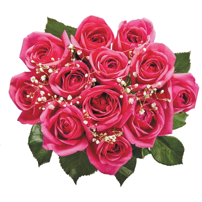 Dozen Roses in assorted colours