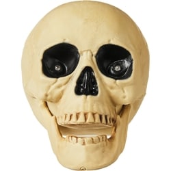 Life at Home LED Skull Decoration - 8 in 1 ea, $19.00/1ea