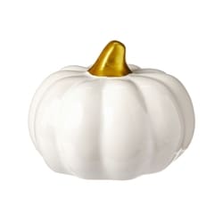 null Ceramic Pumpkin Decoration 4 in - Ivory 1 ea, $5.00/1ea