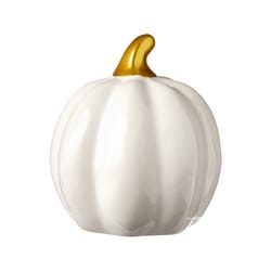 null Ceramic Pumpkin Decoration 6 in - Ivory 1 ea, $8.00/1ea