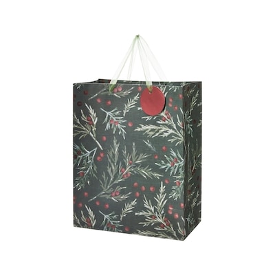 Life at Home Large Gift Bag - Cypress 1 ea, $2.50/1ea