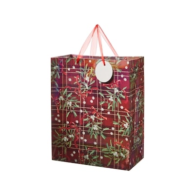 Life at Home Large Gift Bag - Mistletoes 1 ea, $2.50/1ea