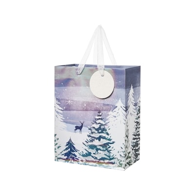 Life at Home Medium Gift Bag - Night Scene 1 ea, $2.50/1ea