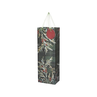 Life at Home Bottle Gift Bag - Cypress 1 ea, $2.00/1ea