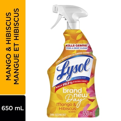 Lysol Nouvelle Journee parfum Mango et Hibiscus 950 ml, 0,58 $/100ml