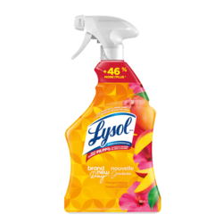 Lysol Nouvelle Journee parfum Mango et Hibiscus 950 ml, 0,63 $/100ml