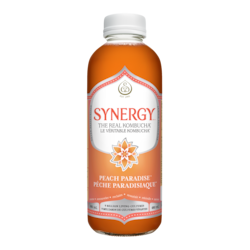 GT’s SYNERGY LE VÉRITABLE KOMBUCHA Pêche Paradisiaque 480 ml, 1,04 $/100ml