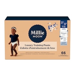 Luxury Training Pants, Size 3T-4T, 66 Count