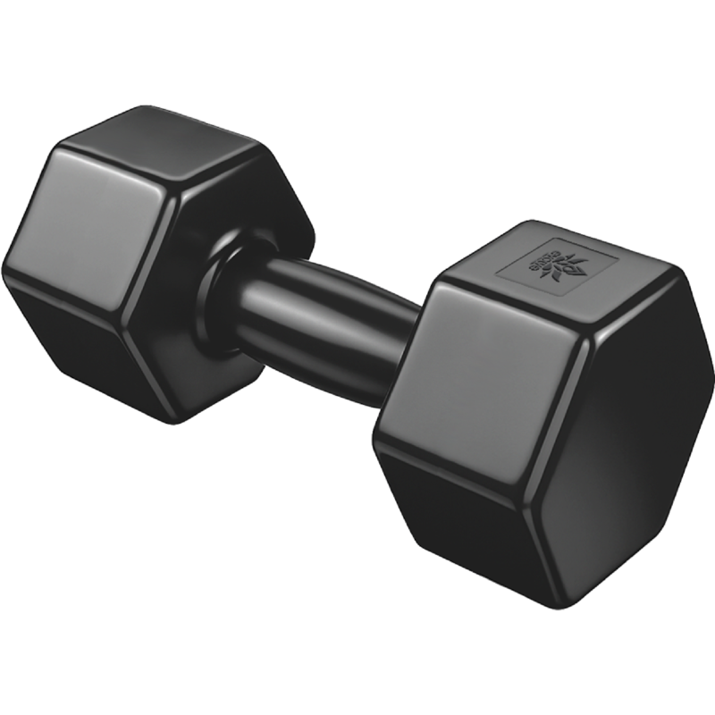 12 lbs Hand Weight Dumbbell